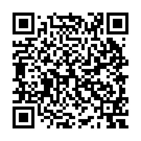 QR code for PRM291