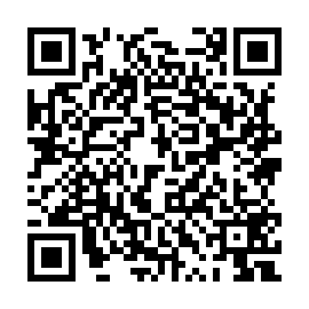 QR code for PTI9596