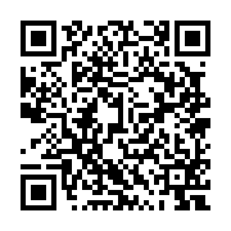 QR code for PTQ0966