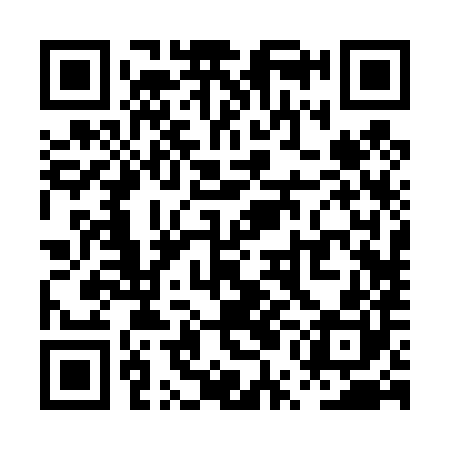 QR code for PUB480