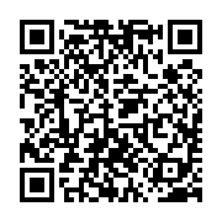 QR code for PUB599