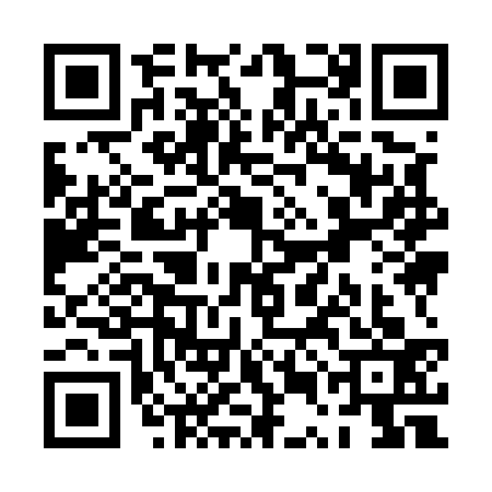 QR code for PUI5334