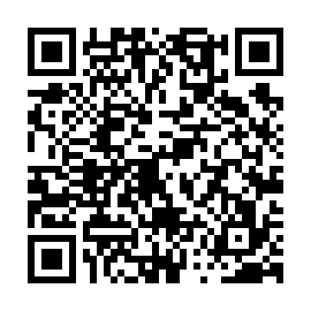 QR code for PUL6366