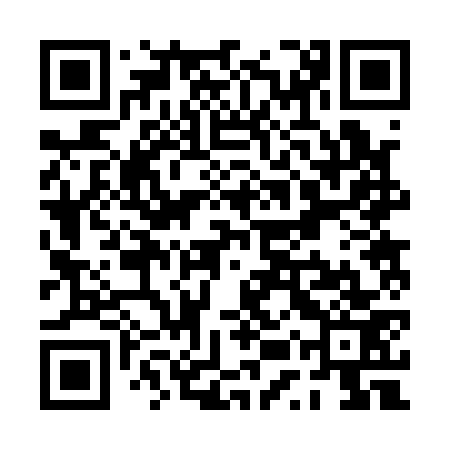 QR code for PUR173