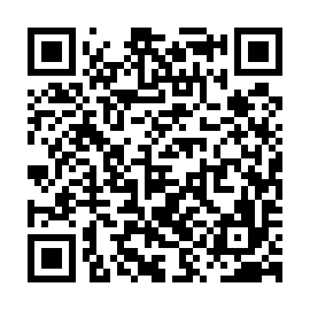 QR code for PYE596