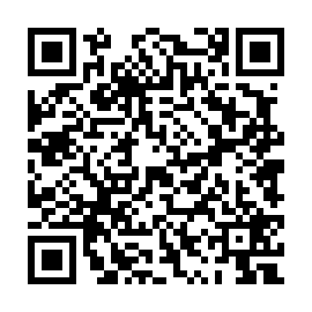 QR code for PYT4290