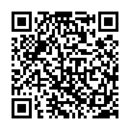 QR code for PZH533
