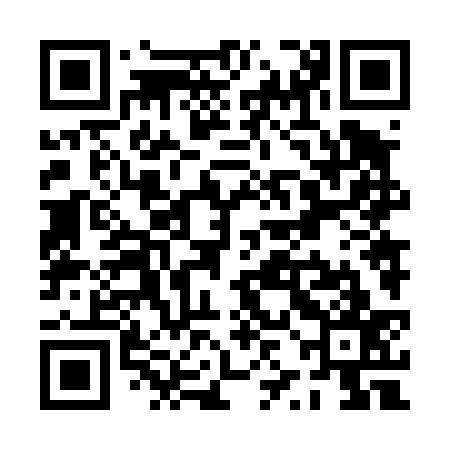 QR code for PZN437