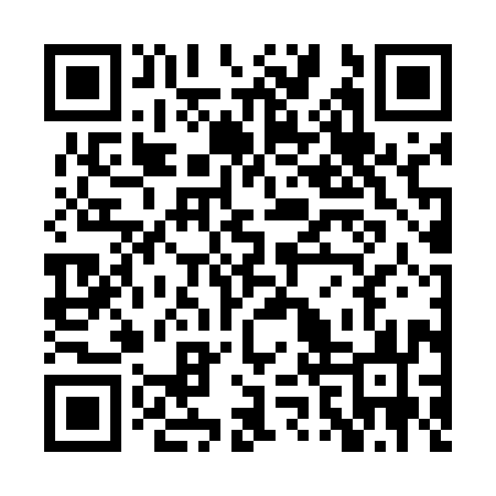 QR code for PZR593