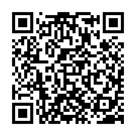 QR code for PZR818