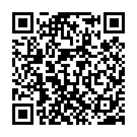 QR code for PZV411