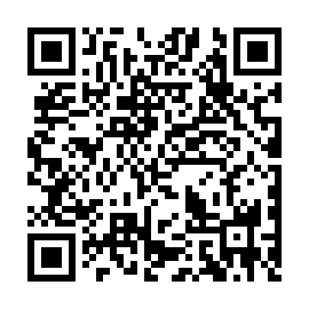QR code for QAV538
