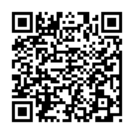 QR code for QAV9539