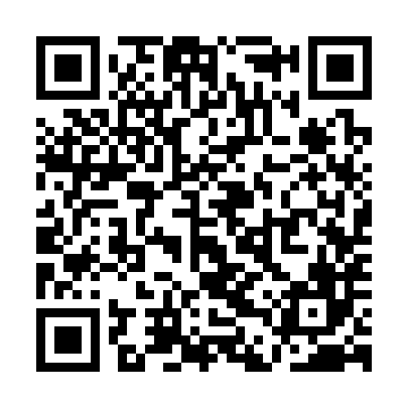 QR code for QDS386