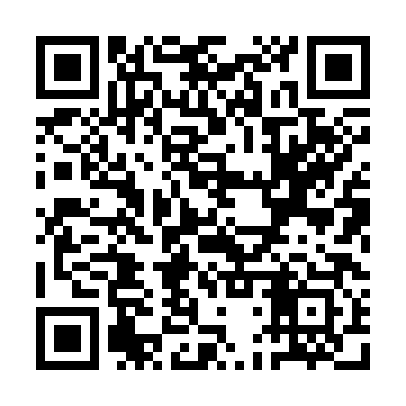 QR code for QDX383