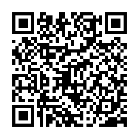 QR code for QEI0919