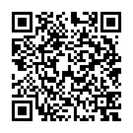 QR code for QGP6393