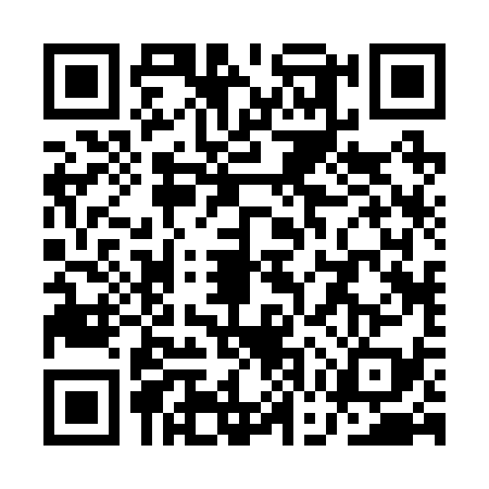 QR code for QGR2393