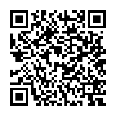 QR code for QGR5295