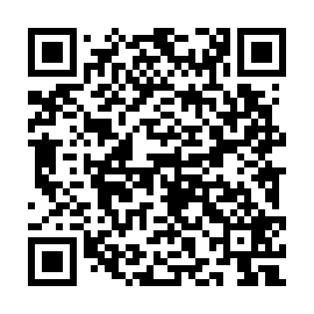QR code for QHL729