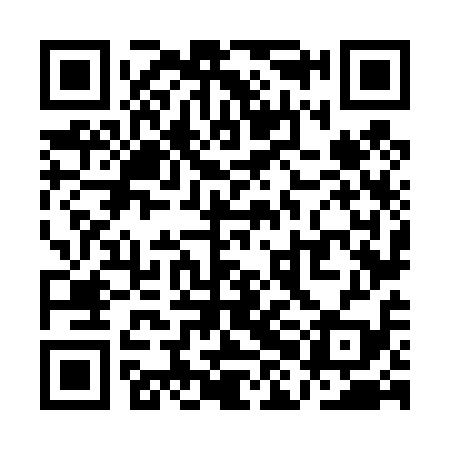 QR code for QHN419