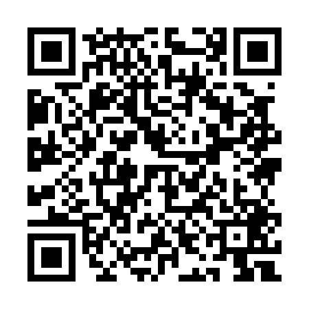 QR code for QII0498