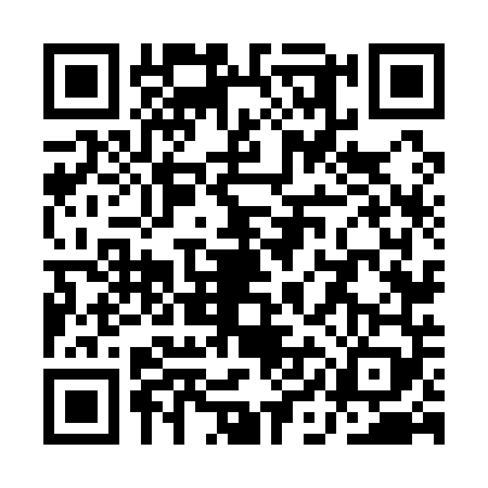 QR code for QIN1493