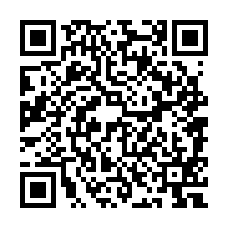 QR code for QIN3956