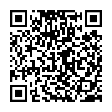 QR code for QIQ618