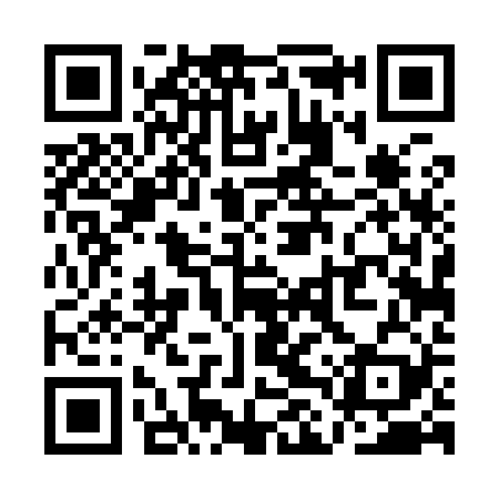 QR code for QLT929