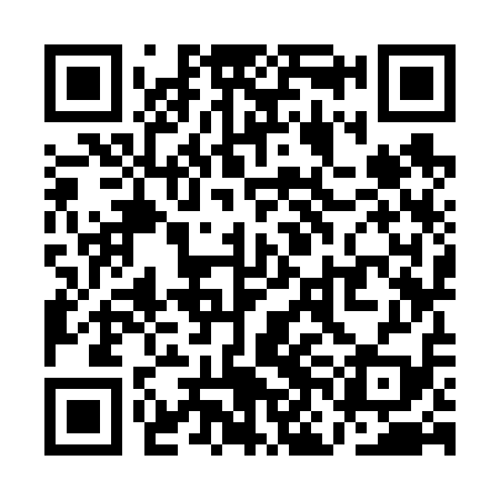 QR code for QNK619