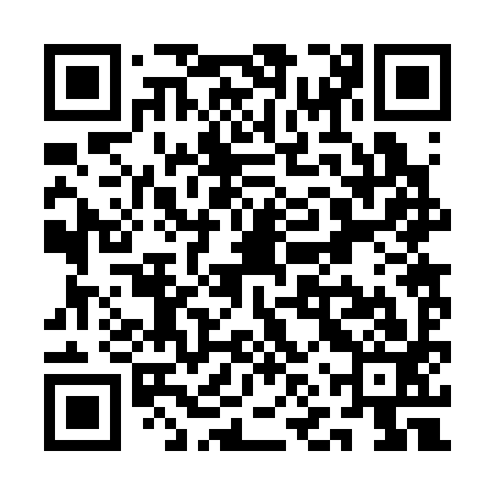 QR code for QNR393
