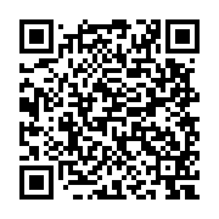 QR code for QNR593
