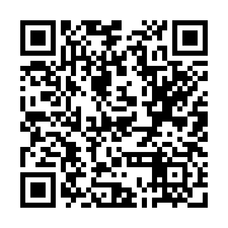 QR code for QOI383