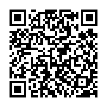 QR code for QPE699