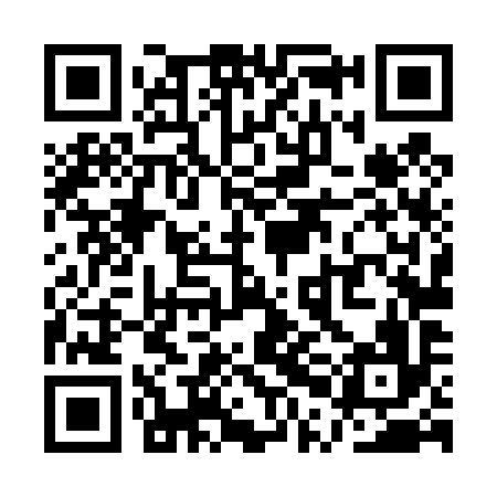 QR code for QPL496