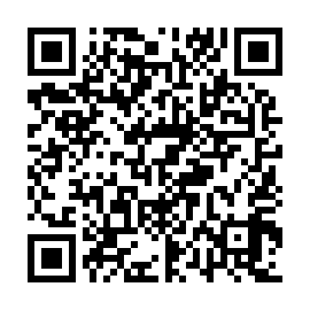 QR code for QPN919