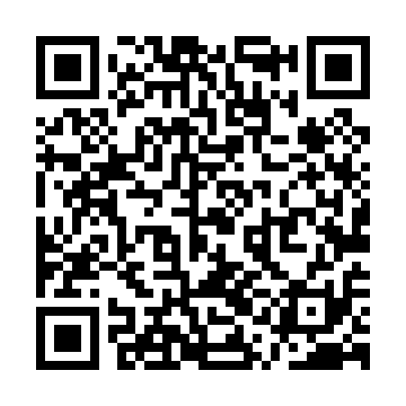 QR code for QQL011