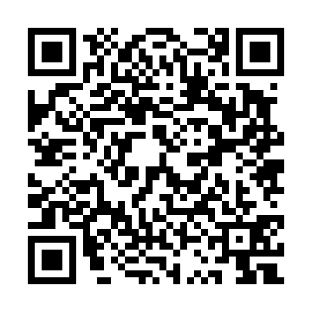 QR code for QSJ4317