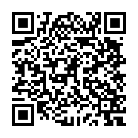 QR code for QSO463
