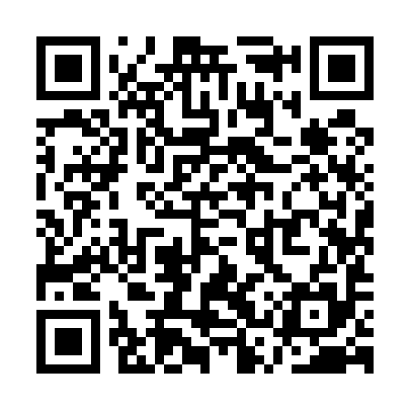 QR code for QSY595