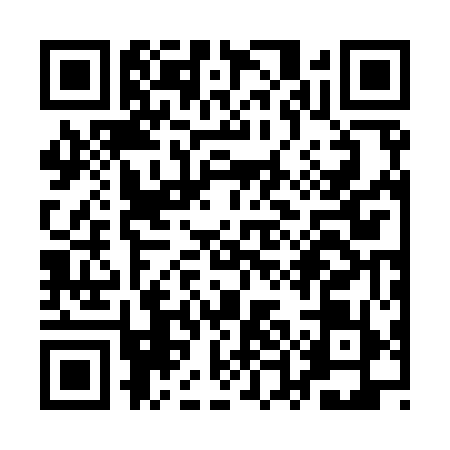 QR code for QUB9596
