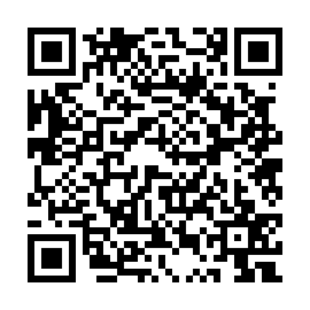 QR code for QUR0379