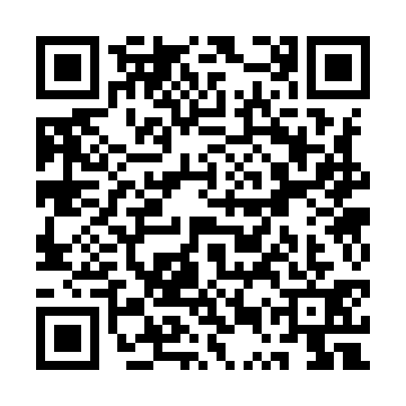 QR code for QUS9311