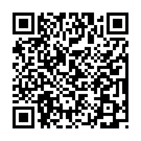 QR code for QYS6619