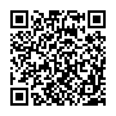QR code for QYZ296