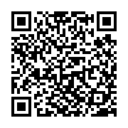 QR code for QZI689