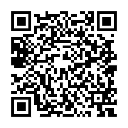 QR code for QZM0938