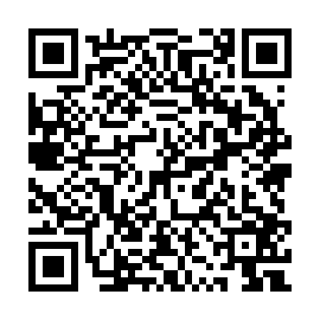 QR code for QZM2063