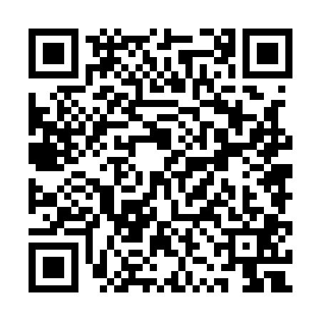 QR code for QZN1010